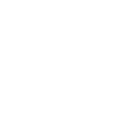 max tyre speed icon